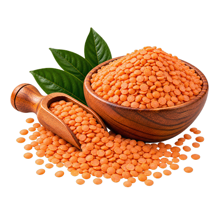 Lentils