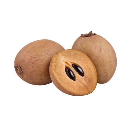 Sapota / Chikoo