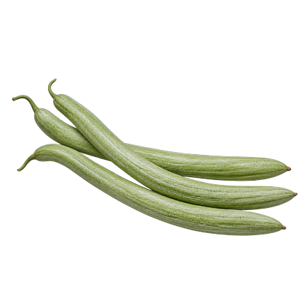 Snake Gourd