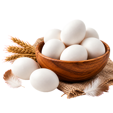 White Eggs